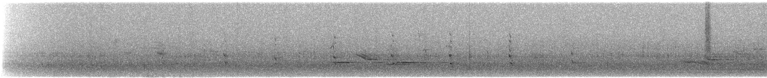 遊隼(macropus) - ML645302262