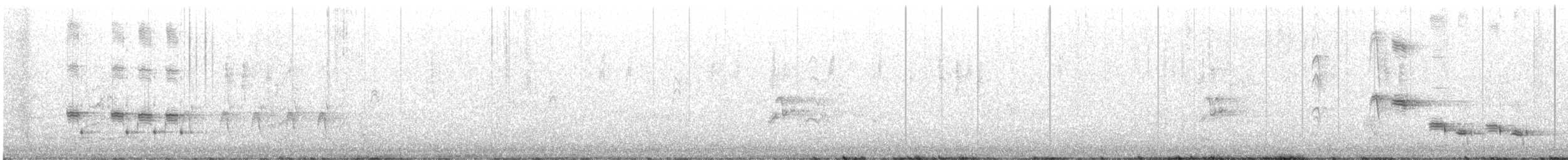 White-fronted Honeyeater - ML645302491