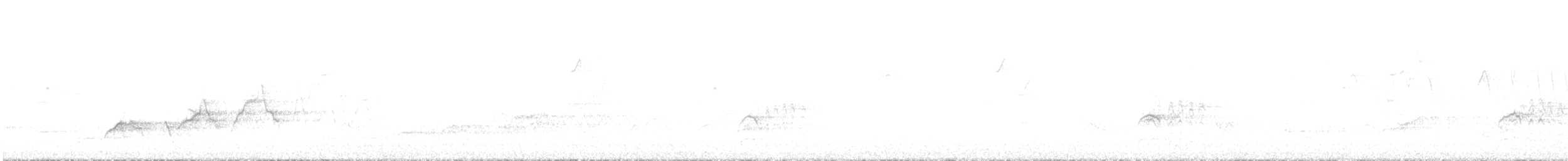 Swainson's Thrush - ML645303054