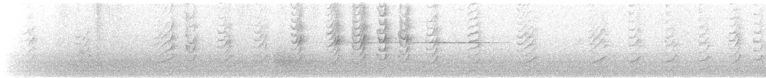 Gray Butcherbird - ML645303124