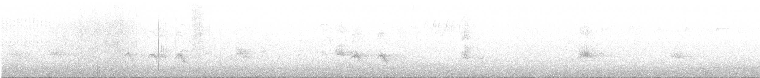 キビタイシメ - ML645303176