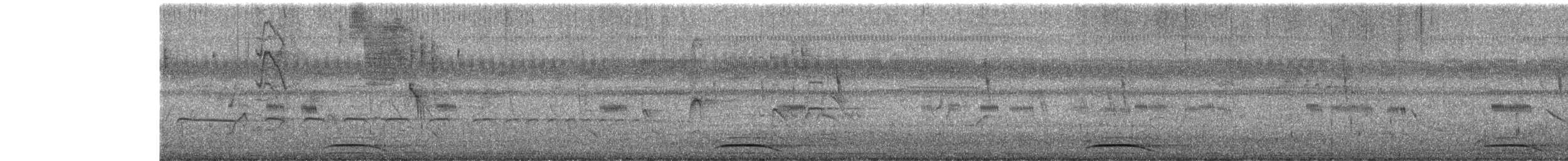 Collared Forest-Falcon - ML645303225