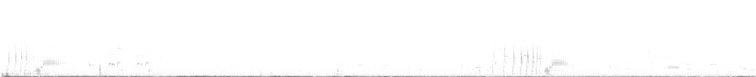 kobberand - ML645303488