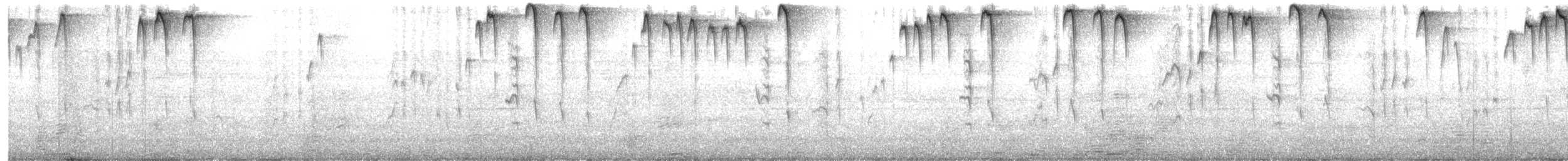 Southern House Wren - ML645303590