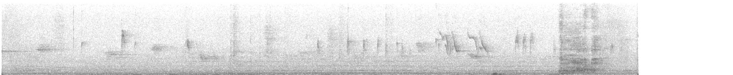 White Wagtail - ML645304622