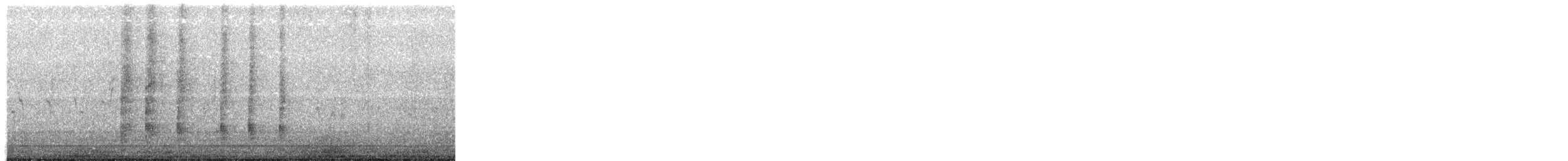 Great-tailed Grackle - ML645305351