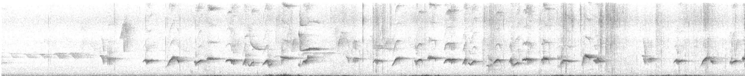 Usignolo del Giappone - ML645305475