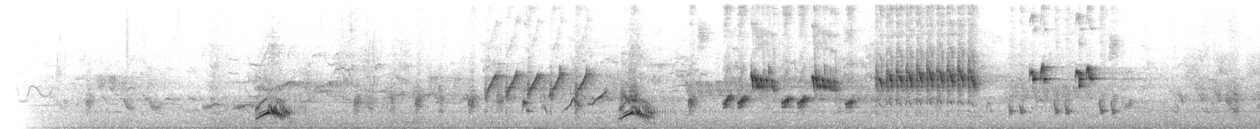 Spotless Crake - ML645305506