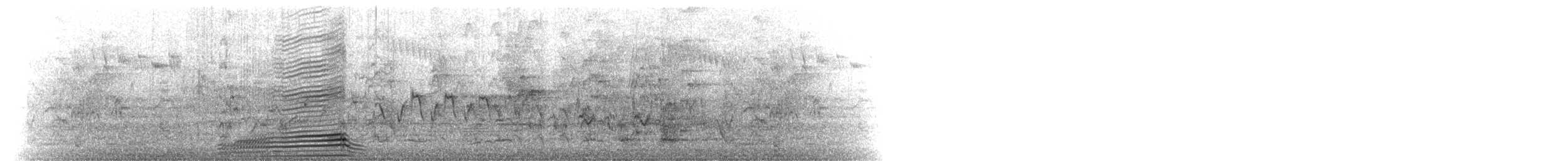 Oca arborea australiana - ML645305563