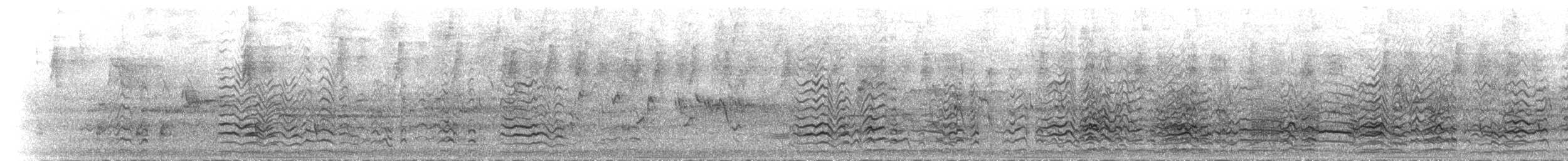 Little Corella - ML645305572