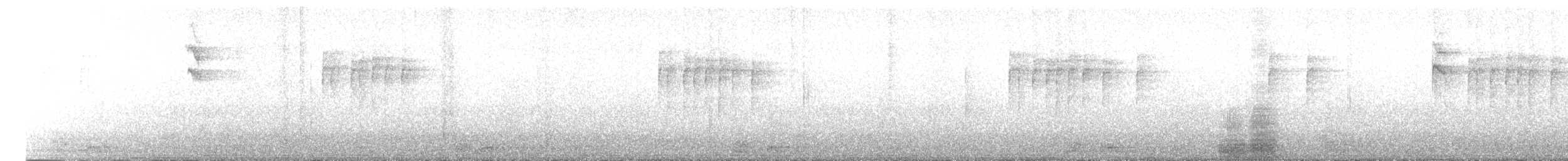 Pettirosso - ML645305581