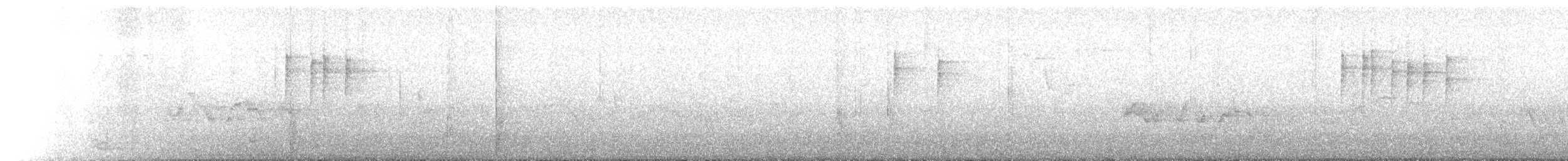 Pettirosso - ML645305584