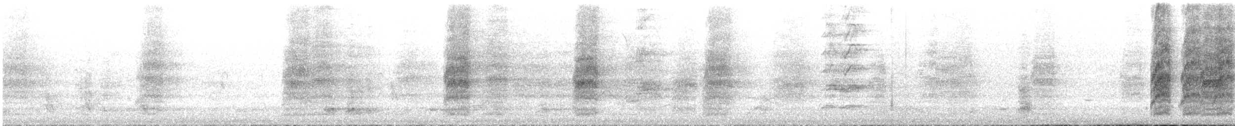 Rainbow Lorikeet - ML645305651