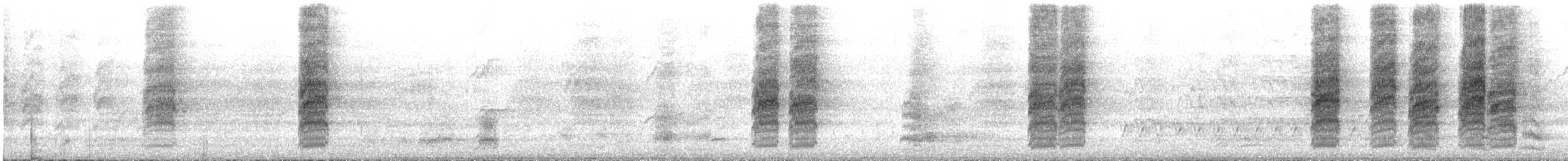 Rainbow Lorikeet - ML645305713