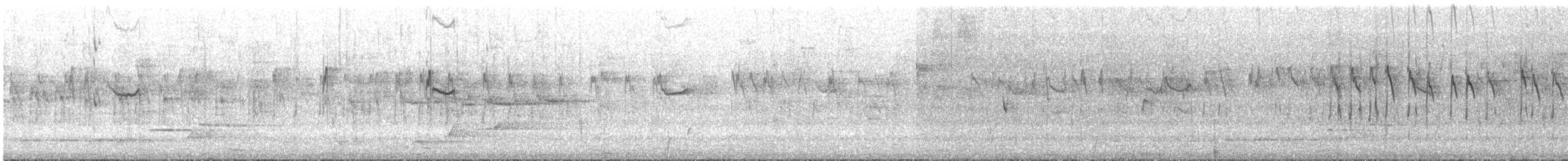 Varied Sittella (Black-capped) - ML645305724