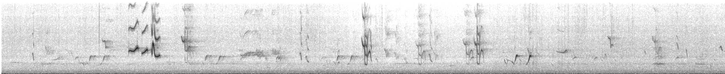 Striated Pardalote (Striated) - ML645305730