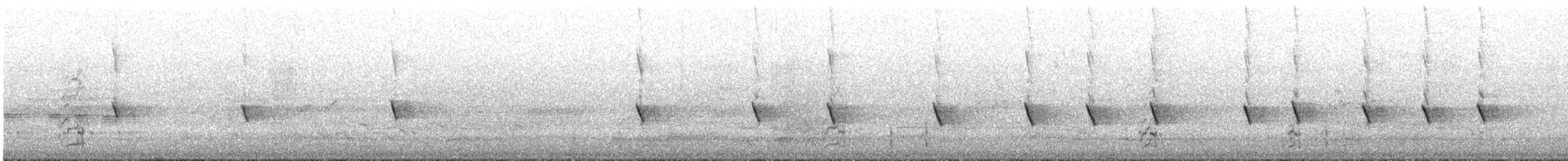 New Holland Honeyeater - ML645306041