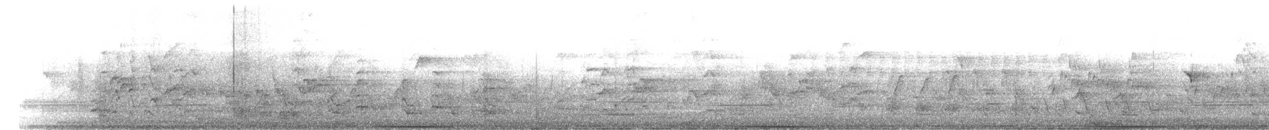 Common Bronzewing - ML645306109