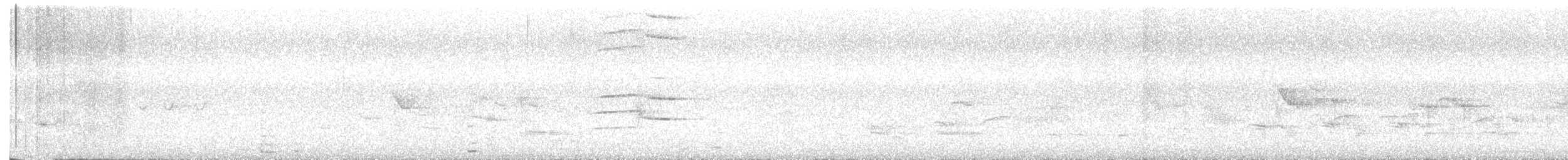 ベニハワイミツスイ - ML645306435