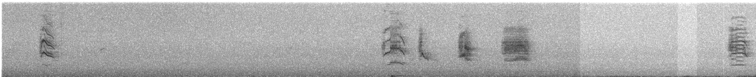 オオツチスドリ - ML645306451