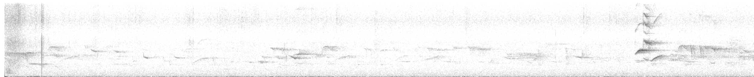 ハワイミツスイ（virens） - ML645306500