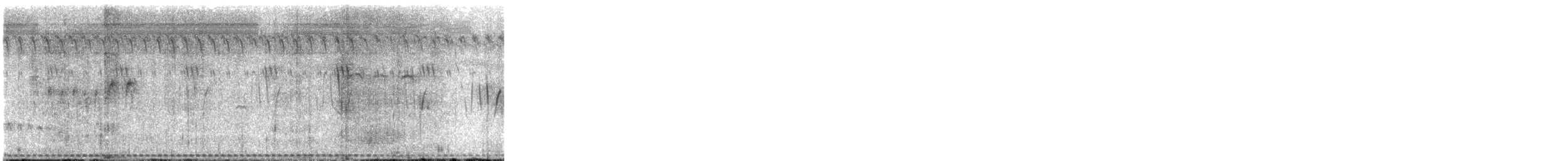 ミフウズラ - ML645306510