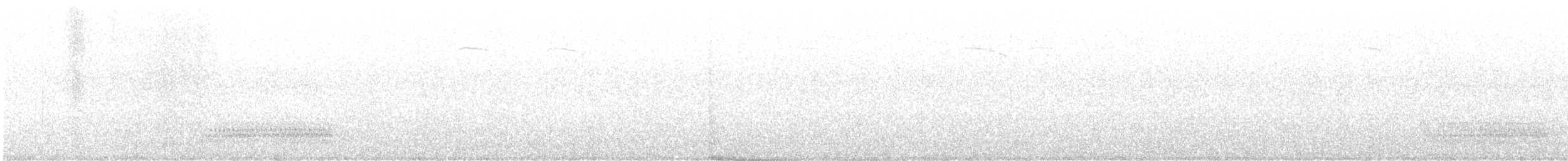 ハイイロホシガラス - ML645306530