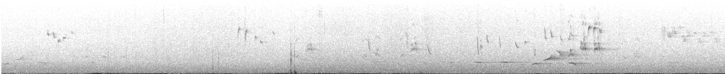 コモントゲハシムシクイ - ML645306538