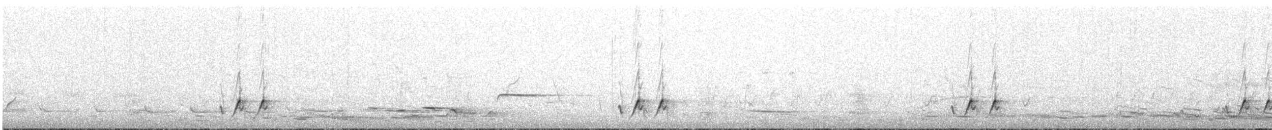 キボシホウセキドリ（substriatus） - ML645306583