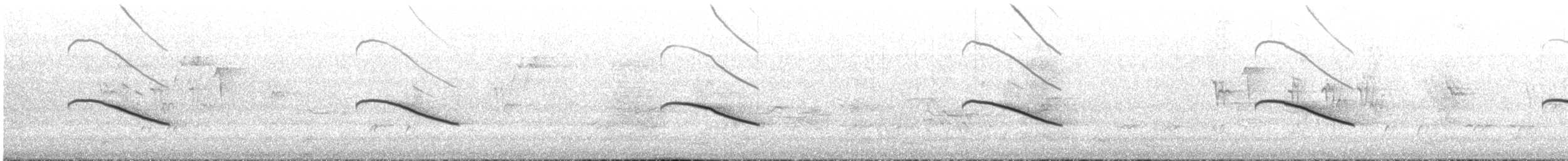 マミジロテリカッコウ - ML645306608