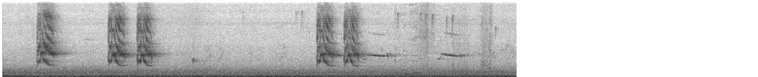 parrot sp. - ML645306683