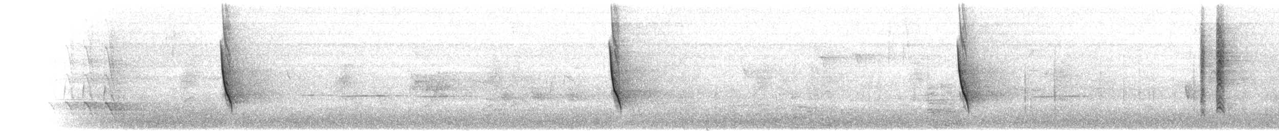 New Holland Honeyeater - ML645306764