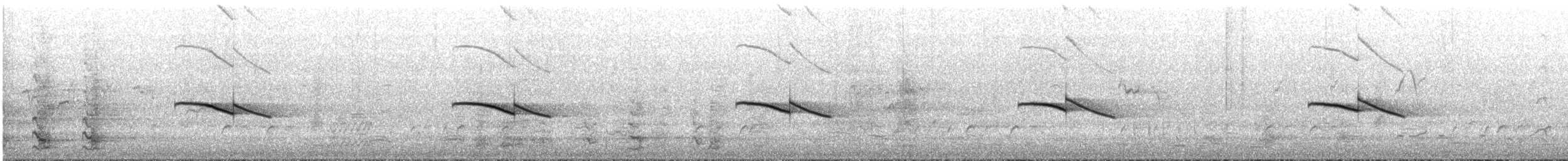 Horsfield's Bronze-Cuckoo - ML645306770