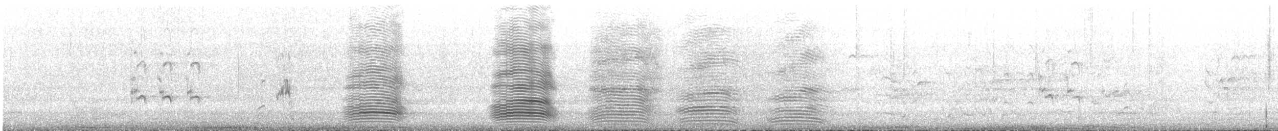 ミナミコワタリガラス - ML645307004