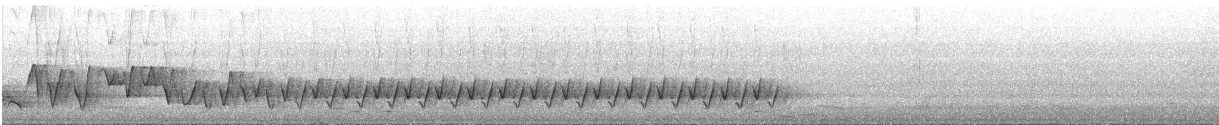 アカハラモズヒタキ - ML645307022