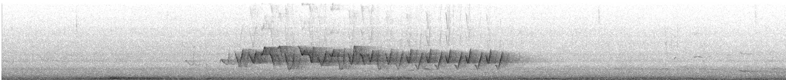 Rufous Whistler - ML645307084