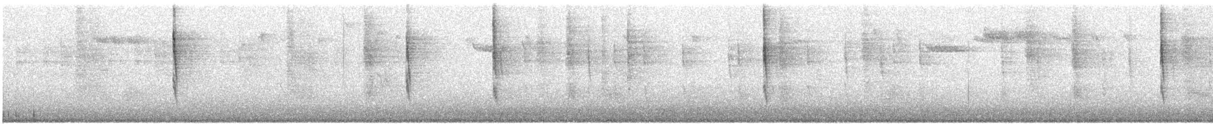 Pacific Wren - ML645307331