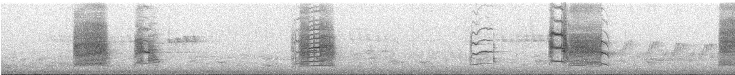 kavčík bělokřídlý - ML645307334