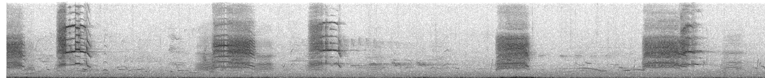 kavčík bělokřídlý - ML645307335