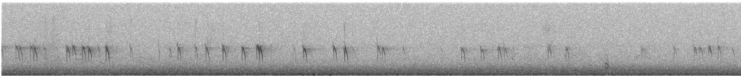 Fichtenkreuzschnabel - ML645307346