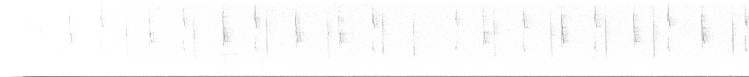 Colibrí Verdemar Mexicano - ML645307498