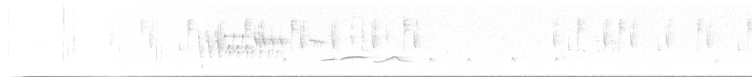 Greater Pewee (Mexican) - ML645307512