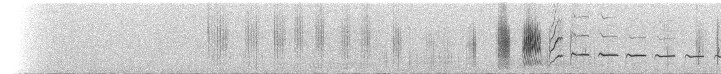 Gibberbird - ML645307600