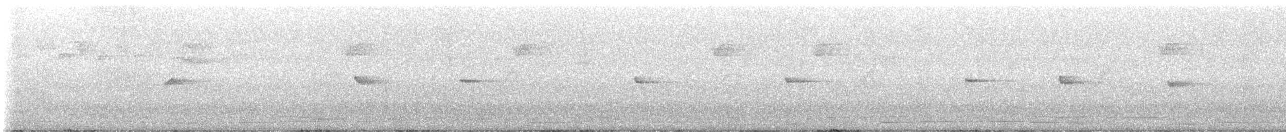 budníček východní - ML645307606