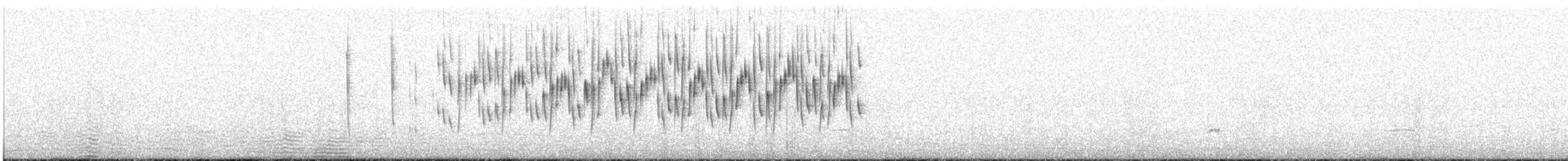 White-winged Fairywren - ML645307741