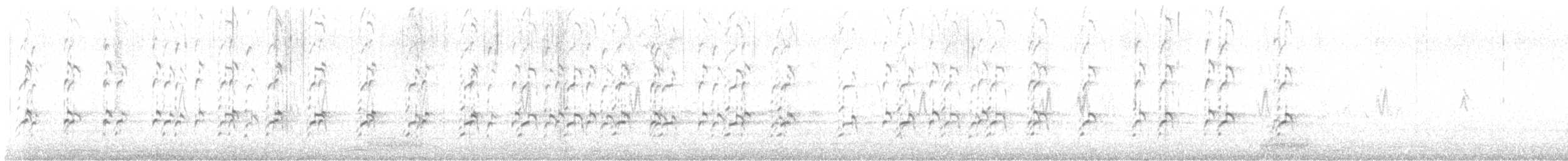 American Avocet - ML645307919