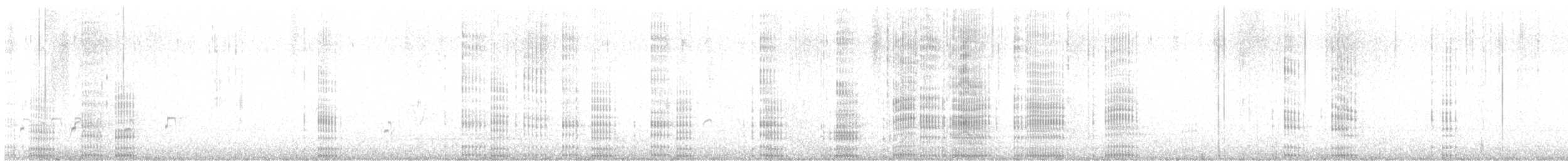 Neotropic Cormorant - ML645307929