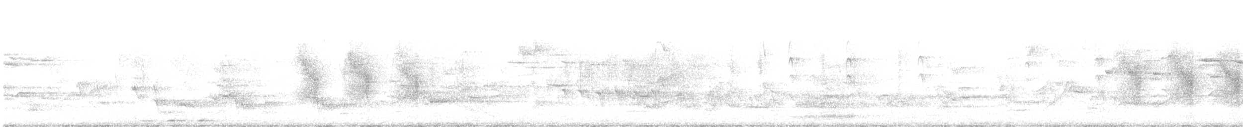 White-naped Honeyeater - ML645308277