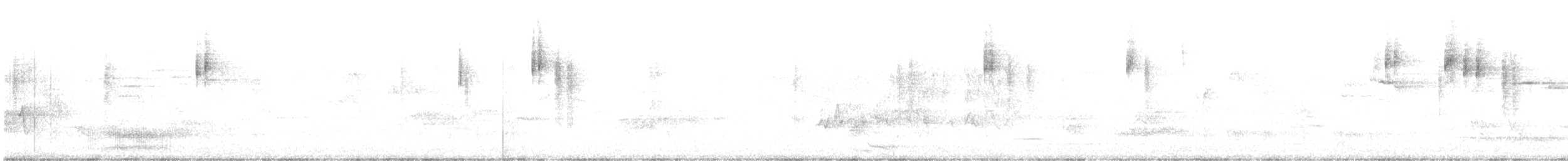 White-browed Scrubwren (White-browed) - ML645308284