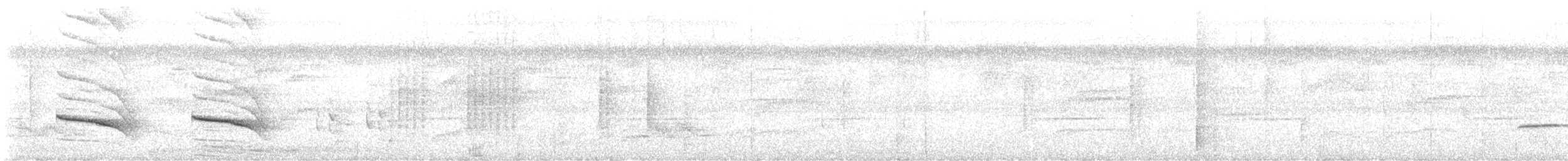 Striated Wren-Babbler (mindanensis/basilanica) - ML645308289